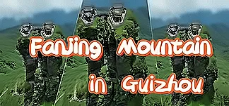 Fanjing Mountain in Guizhou PC Mod Menu, Trainers and Cheats