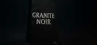Granite Noir: The Social Experiment PC Mod Menu, Trainers and Cheats