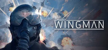Project Wingman PC Mod Menu, Trainers and Cheats