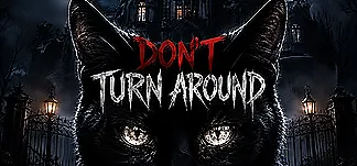 DON'T TURN AROUND Trainers & Mods