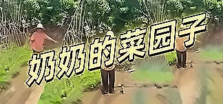 奶奶的菜园 PC Mod Menu, Trainers and Cheats